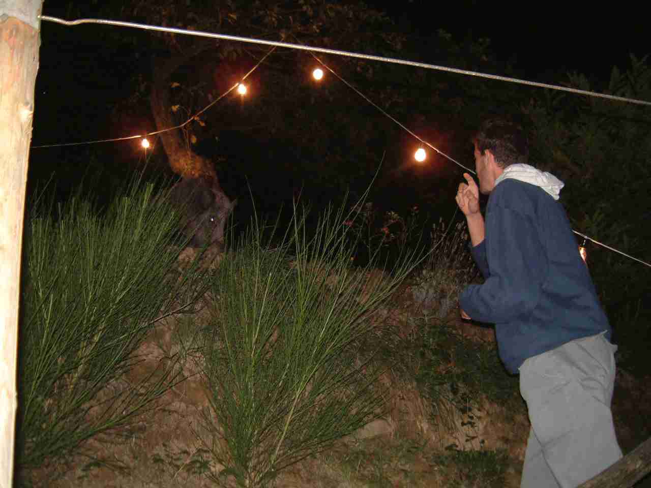  Image name: fau19-E.jpg 
 width: 1280 pixel 
 height: 960 pixel 
 Size: 58098 bytes 
 Click to enlarge 